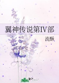 翼神傳說第Ⅳ部