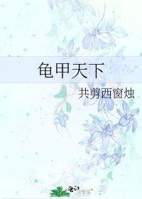 龟甲天下