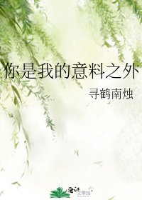 你是我的意料之外
