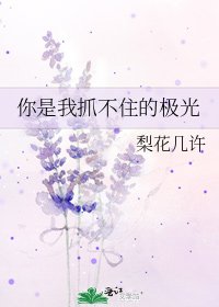 你是我抓不住的極光
