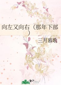 向左又向右(那年下部)