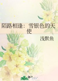 陌路相逢:雪银色的天使