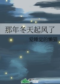 那年冬天起風了