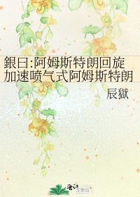 銀曰:阿姆斯特朗迴旋加速噴氣式阿姆斯特朗炮什麼的都去見鬼