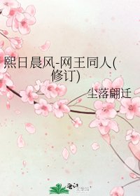 熙日晨风-网王同人(修订)