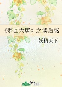 梦回大唐