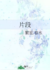 片段