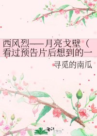 西風烈——月亮戈壁(看過預告片後想到的一個故事)