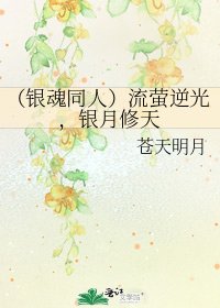 (銀魂同人)流螢逆光,銀月修天