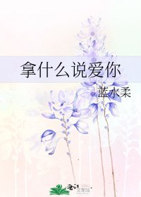 拿什么说爱你
