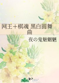 網王+棋魂 黑白圓舞曲