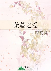 藤蔓之愛