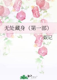 无处藏身(第一部)