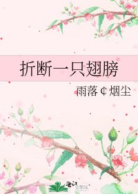 折斷一隻翅膀