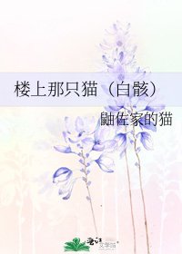樓上那隻貓(白骸)