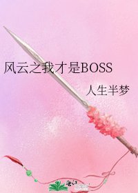 風雲之我才是BOSS