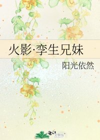 火影·孪生兄妹