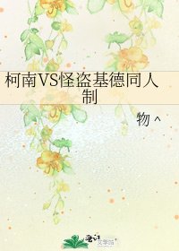 柯南VS怪盗基德同人制