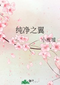 純淨之翼