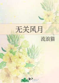 無關風月