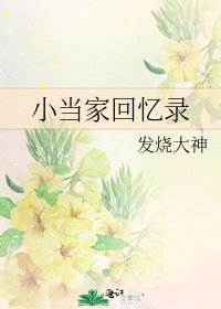 小當家回憶錄