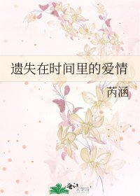 遺失在時間裡的愛情