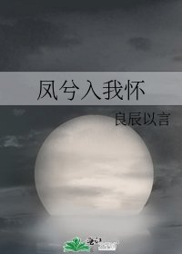 鳳兮入我懷