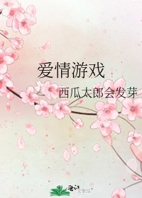 愛情遊戲