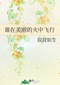 誰在美麗的火中飛行