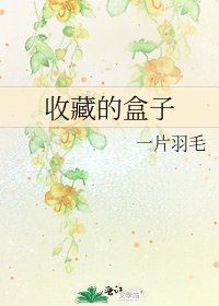收藏的盒子