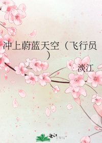 衝上蔚藍天空(飛行員)