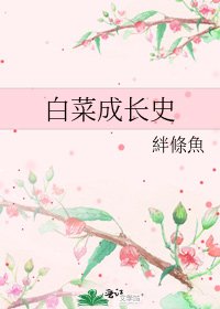 白菜成長史