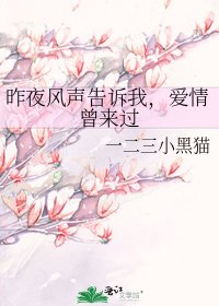 昨夜風聲告訴我,愛情曾來過
