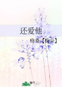 还爱他