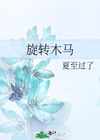 旋转木马