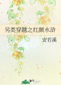 另类穿越之红颜水浒