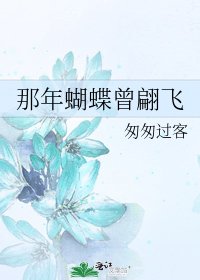 那年蝴蝶曾翩飛