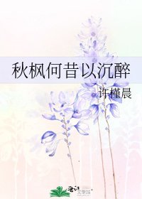 秋楓何昔以沉醉