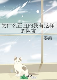 为什么正直的我有这样的队友
