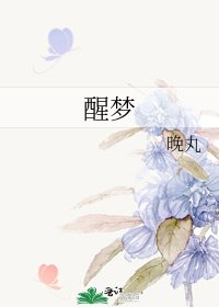 醒夢