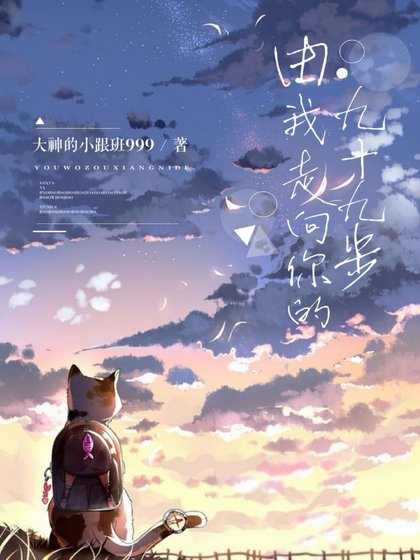 由我走向你的九十九步