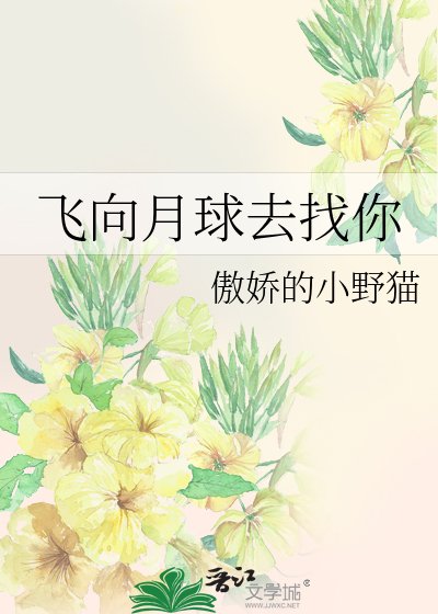 飛向月球去找你