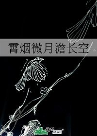 霄煙微月澹長空