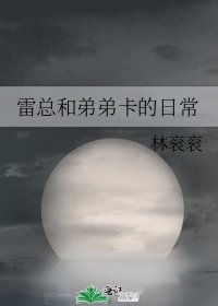雷總和弟弟卡的日常