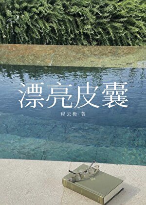 漂亮皮囊