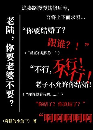老陆,你要老婆不要?