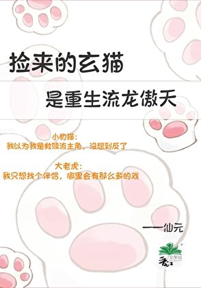 撿來的玄貓是重生流龍傲天