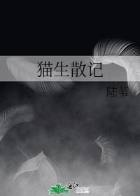 貓生散記