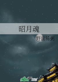 昭月魂