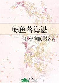 鯨魚落海湛